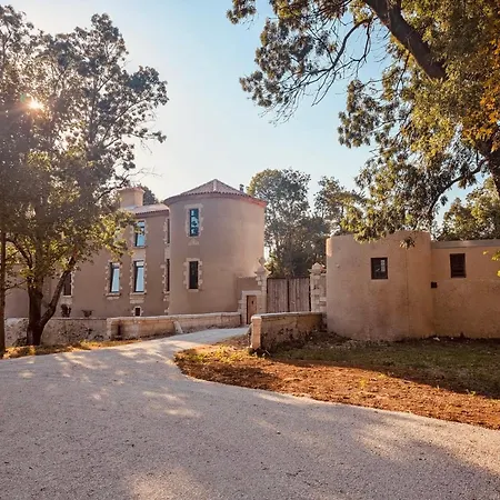 Bed & Breakfast Chateau De La Grimenaudiere - Charme & Experience Pres De La Rochelle