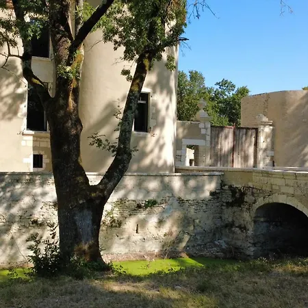 Chateau De La Grimenaudiere - Charme & Experience Pres De La Rochelle 3*